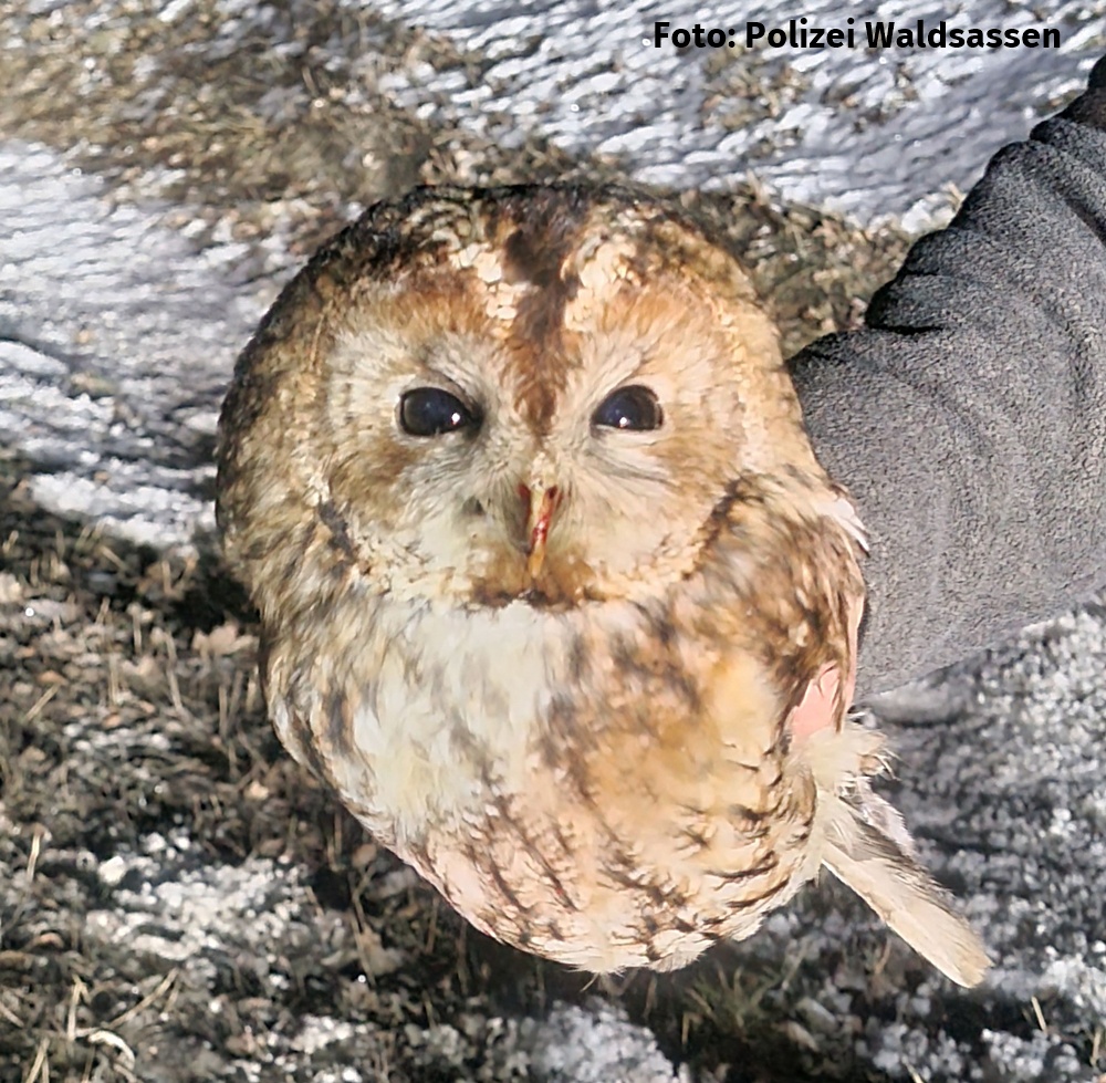 Konnersreuth, Polizei