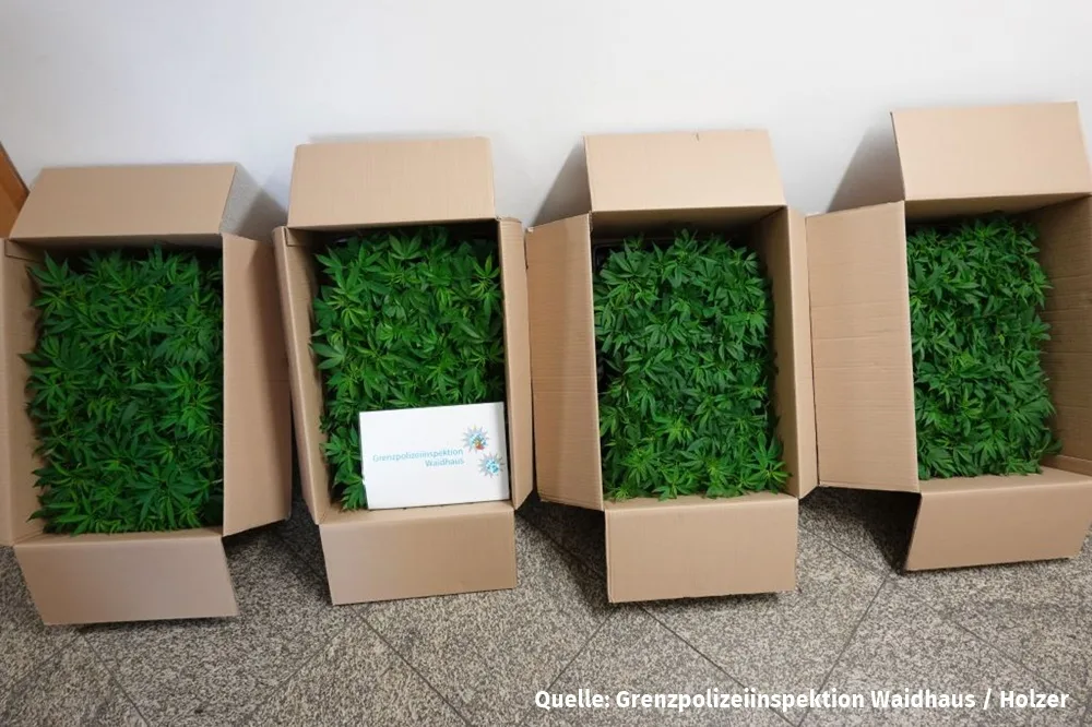 Vohenstrauß, Grenzpolizei, Polizei