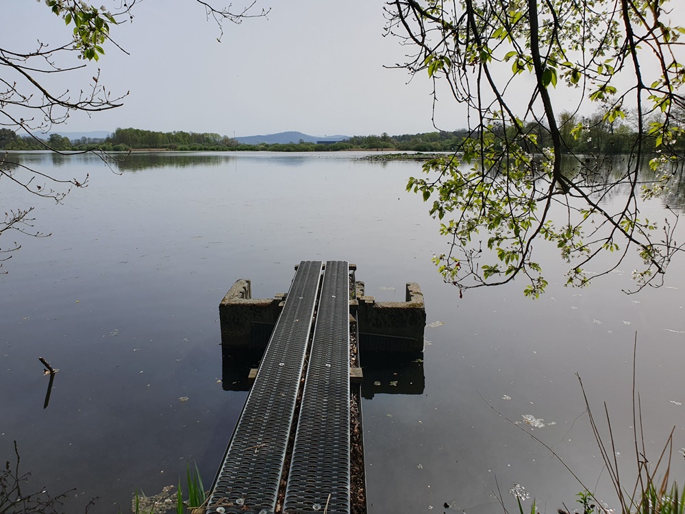 Rötelseeweiher