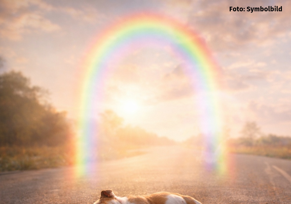 Herzlos, Polizei Hund